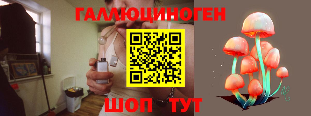Кыштым  Галлюциногенные грибы GOLDEN TEACHER  Вход с VPN 
